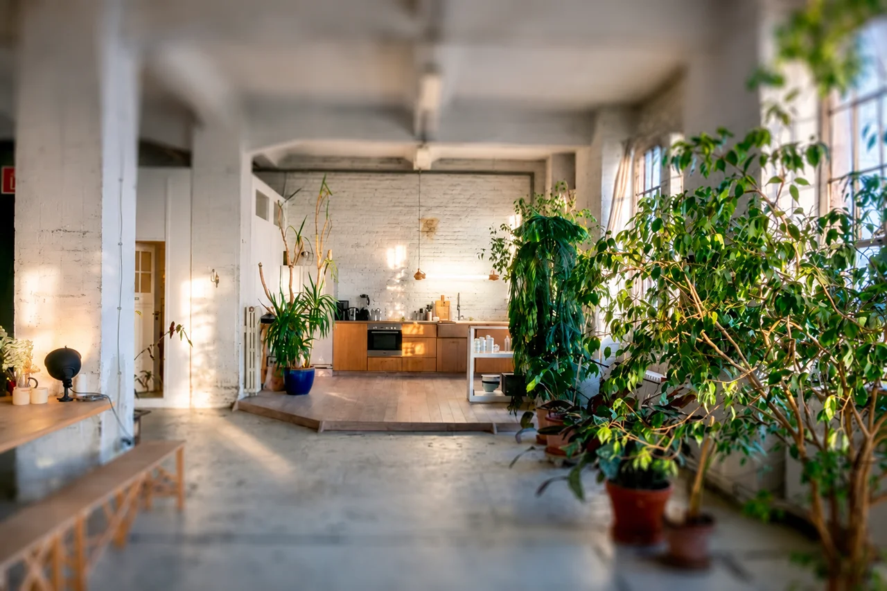 Helles Fotostudio mit großen Sprossenfenstern, Topflanze, LED-Lichttechnik, Stativ und Sitzmöbel